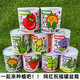 創(chuàng  )意易拉罐小盆栽?xún)和N植植物幼兒園學(xué)生觀(guān)察趣味易養活diy綠植 5個(gè)易拉罐植物盲盒