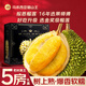 山姆大叔 貓山王榴蓮D197【JD順豐速運-可送貨上門(mén)】液氮冷凍中秋禮品禮盒 【A+級大果包5房】4-4.5斤 16年選果師傅