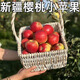 正宗新疆阿克蘇櫻桃小蘋(píng)果當季新鮮紅富士孕婦水果脆甜爽口整箱裝 櫻桃小蘋(píng)果5斤裝