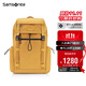 新秀麗（Samsonite）休閑時(shí)尚雙肩包電腦包15.6英寸男女背包輕盈輕便舒適背負中性NX6