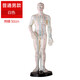 淳紫樂(lè )康針灸穴位人體模型假人模型全身醫學(xué)美術(shù)經(jīng)絡(luò )教學(xué)中醫銅人小人練習 白色普通款-印字- 男(50CM)