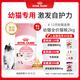 皇家幼貓貓糧 幼貓奶糕 K36 通用糧 4-12月 2KG