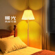 秒舒康輕奢落地燈客廳臥室床頭沙發(fā)書(shū)房閱讀裝飾布藝氛圍遙控LED立式燈 F05暖光-10瓦可調3檔亮度