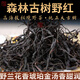 茗冠忠品森林古樹(shù)野紅茶曬紅滇紅茶云南昌寧高海拔秘境純正大古樹(shù)野生古茶 250克禮品罐裝 高海拔原產(chǎn)地野茶
