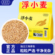 奧祥堂浮小麥中草藥材正品浮麥茶正宗甘麥湯止汗大棗甘草黃芪茶包癟麥子