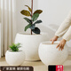 LZJV鎂泥特大號花盆奶油風(fēng)半圓輕奢感花盆大號黑金剛橡皮樹(shù)百合竹家 白色加點(diǎn) 32*32*25cm (外徑*高)