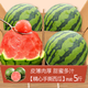 正宗冰糖子西瓜新鮮采摘2K小糖丸脆甜多汁皮薄非麒麟西瓜新鮮包郵 3-4斤