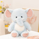 伊美娃娃大象玩偶公仔小象娃娃抱枕兒童毛絨玩具送女生生日禮物情人節禮物