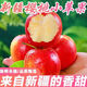 正宗新疆阿克蘇櫻桃小蘋(píng)果9斤孕婦水果整箱裝紅富士爽口脆甜整箱5 5斤【帶箱精選】