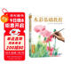 經(jīng)典全集《水彩基礎教程》入門(mén)臨摹零基礎自學(xué)教材書(shū)籍風(fēng)景美食花卉美術(shù)藝術(shù)少女手繪插畫(huà)冊本森系美院名師