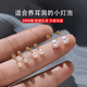 戚小米S999純銀珍珠耳釘女養耳朵小耳環(huán)螺絲擰扣迷你耳骨釘仿珍珠耳飾品 【金色】4mm珍珠耳釘一對【999足銀】