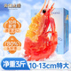 云儲生活格陵蘭頭籽北極甜蝦北極熊刺身大號冰蝦元寶蝦80/100規格 凈重3斤