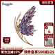 Eternelle法國永恒原創(chuàng  )設計胸針秋冬新款蝴蝶胸花高檔輕奢別針扣禮物 優(yōu)雅紫