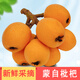 綠養道云南蒙自新鮮枇杷果 新鮮水果 凈重 單果20g+ 5斤