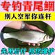 魚(yú)誘青尾鲴餌料專(zhuān)攻青尾黃尾紅尾鲴魚(yú)專(zhuān)用餌料秋冬野釣鲴魚(yú)打窩料小藥 買(mǎi)二送一【打連桿 必滿(mǎn)護】店