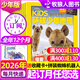 kids環(huán)球少年地理少年版雜志2025年1-11月現貨【2026全年/半年訂閱/2024年1-12月可選】美國國家地理6-12小學(xué)生青少年兒童科普百科非過(guò)刊K 搶先購【贈拼裝蜘蛛機器人】全年訂閱26年