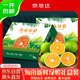 京地達海南正宗綠橙凈重5斤禮盒裝一斤3個(gè)左右青皮橙子手剝橙源頭直發(fā)