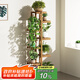 安爾雅 松木花架子花盆碳化室內外客廳陽(yáng)臺多肉植物簡(jiǎn)約置物架花擺架8層