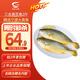 GUO LIAN國聯(lián)三去黃花魚(yú)2條共凈重2斤國產(chǎn)寧德東海大黃魚(yú)聚餐海鮮水產(chǎn)食材