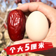 抱抱你 5-6cm精品雞蛋棗新疆和田大紅棗駿棗吊干紅棗棗子蜜餞零食