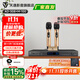 天逸（Winner）AD-308專(zhuān)業(yè)版卡拉ok混響器客廳家用ktv數字前級話(huà)筒效果器防嘯叫K歌唱歌 AD-308+無(wú)線(xiàn)麥克風(fēng)