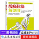 酸痛拉筋解剖書(shū) 精準拉伸訓練健身精準拉伸基本動(dòng)作 健身鍛煉教程書(shū) 后浪正版