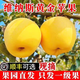 中秋禮盒山東正宗維納斯黃金蘋(píng)果5斤新鮮水季整箱脆甜糖心丑蘋(píng)果9 3斤【帶箱現摘】 【中果】