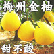 柚滿(mǎn)園【純甜不酸】梅州沙田柚子梅縣金柚正宗特產(chǎn)甜碌柚新鮮水果廣東 大果4-5個(gè)帶箱9-10斤