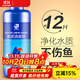 瘋狂石頭魚(yú)缸凈水劑水質(zhì)澄清劑水族觀賞魚(yú)用品清水劑除臭不傷魚(yú)凈水清澈劑 水質(zhì)清澈劑600ML