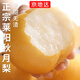 京地達梨子萊陽(yáng)秋月梨凈重8.5斤單果350g+正宗秋月梨水果源頭直發(fā)包郵