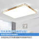 XMSJ現(xiàn)代簡約 led大氣客廳大燈主臥室吊燈具餐廳 鏤空長60*40厘米白光全亮