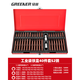 綠林（GREENER）40件套旋具批頭套裝內六角螺絲刀花型電動(dòng)套筒組套風(fēng)批十二角 [S2高硬]鐵盒40件旋具組套