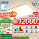歐普（OPPLE）LED吸頂燈大客廳自建房超大1.2米全光譜APP智能燈具飾錦軒TC 200瓦智控/超大光通量12000LM