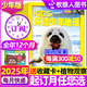 kids環(huán)球少年地理少年版雜志2025年1-10月現貨【2026全年/半年訂閱/2024年1-12月可選】美國國家地理6-12小學(xué)生青少年兒童科普百科非過(guò)刊K 【贈植物觀(guān)察盒】全年訂閱25年1-12月