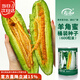 壽禾 羊角蜜種子苗脆甜水果甜瓜種籽 濰育壽甜9號羊角蜜種子600粒桶裝