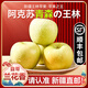 【順豐丨新疆直發(fā)】新疆阿克蘇王林蘋(píng)果水果青森水蜜桃王林蘋(píng)果 12粒甄選果禮盒丨5斤單果75-85mm