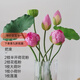 LZJV荷花仿真花手感荷葉pu蓮蓬蓮花假花客廳擺件水池裝飾造景拍攝道具 半開(kāi)荷花粉色混合 7支 現代簡(jiǎn)約裝飾