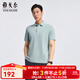 雅戈爾（YOUNGOR）POLO男士春夏青年男短袖POLO衫漢麻抗菌polo衫合款 VSHM533109SCA淺綠 XL