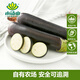 小湯山 長(cháng)茄子 400g 基地直供新鮮蔬菜安全可追溯