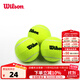 威爾勝（Wilson）康友網(wǎng)悅 威爾遜 散裝無(wú)壓袋裝訓練比賽罐裝網(wǎng)球訓練袋裝 WRT136000-初學(xué)訓練3粒裝