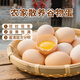 舌尖攻略農家散養谷飼鮮雞蛋 單枚約40g±5g 營(yíng)養早餐食材蛋白整箱批發(fā) 30枚