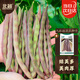 北蔬 蕓豆種子種苗豆角豇豆四季豆扁豆爬藤蔬菜種籽 九粒紅種子40g