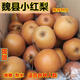 正宗魏縣小紅梨新鮮現摘水果咳嗽喝湯 5斤裝熬湯喝紅梨