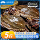 舟山梭子蟹新鮮冷凍特大野生大螃蟹鮮活海蟹海鮮水產(chǎn)非母飛蟹肉蟹 9兩以上/只 【凈重5斤 舟山直發(fā)】