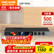 雅橋（YACARE）DSP-9900防嘯叫前級效果器專(zhuān)業(yè)ktv混響器家用卡拉ok音頻處理器 帶藍牙 DSP9900