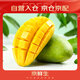 京鮮生 廣西大青芒 9斤禮盒裝 5-7個(gè) 單果約600g+ 生鮮水果