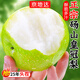 京地達碭山青皮皇冠梨 凈重9斤單果250g 青皮翠冠梨梨子源頭直發(fā)包郵