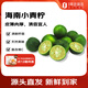 趣嘗鮮海南小青檸檬青金桔2斤裝 單果10g起源頭直發(fā)包郵