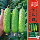 壽禾 強雌性旱黃瓜種子種苗秋季蔬菜種籽 濰育冰翡翠旱黃瓜種子50粒