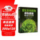 常見(jiàn)多肉植物原色圖鑒